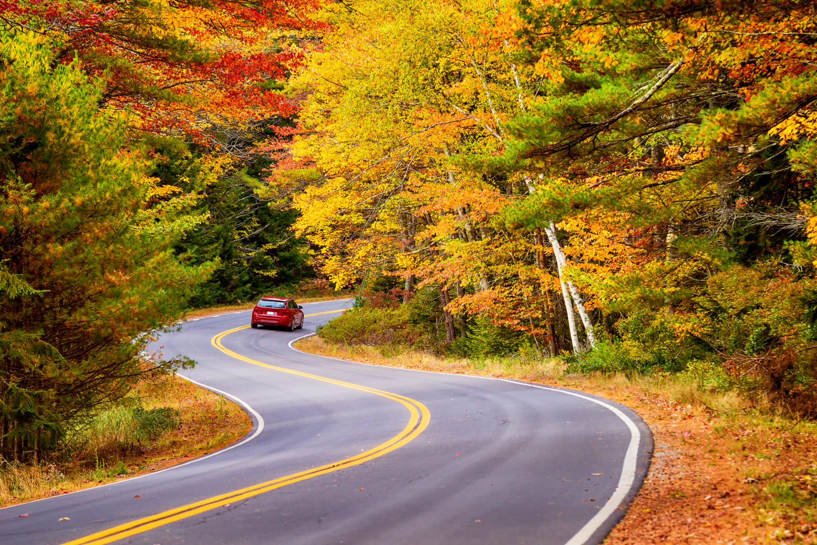 everything Hospitality - Experience Fall Foliage To The Fullest